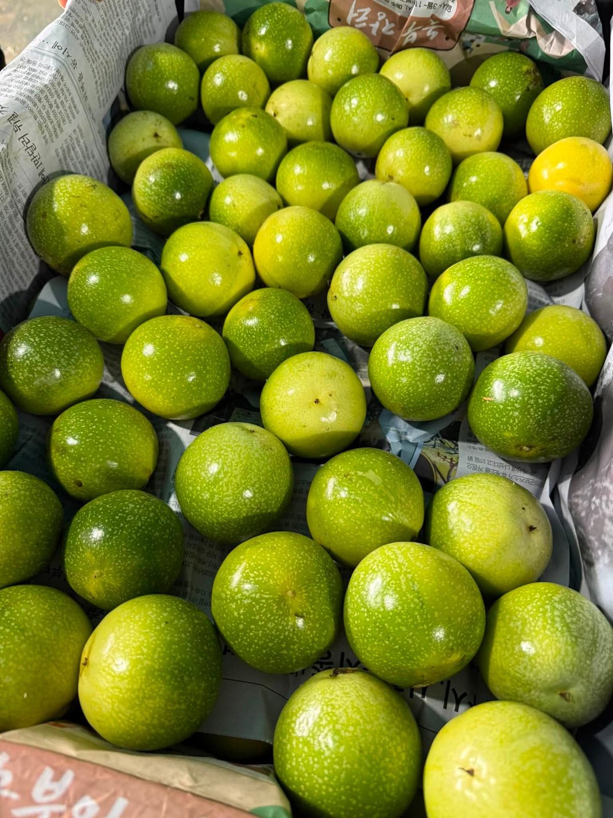 Thùng chanh dây vàng vừa thu hái